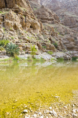 Wall Mural - Wadi Shab Oman