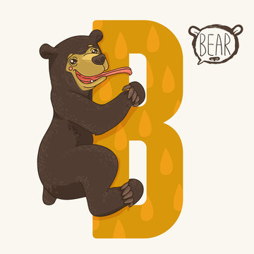 letter B bear