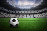 Fototapeta Sport - Composite image of black and white leather football