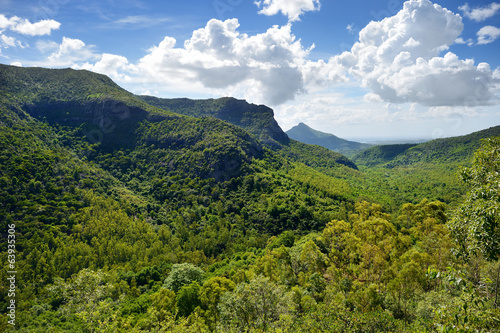 tropikalna-dzungla-wyspy-mauritius