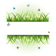 Wall Mural - Background with butterflies and ladybugs