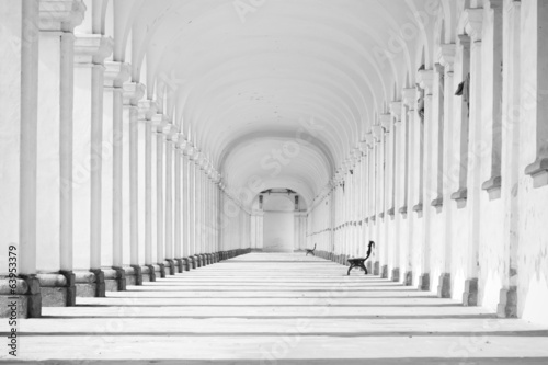 Fotografía Long baroque colonnade in black and white tone