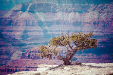 Grand Canyon National Park, Arizoan, USA
