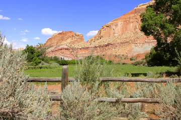 Wall Mural - capitol Reef