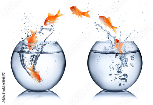 Obraz w ramie goldfish - change concept - isolated