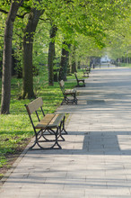 Wooden Benches In Park