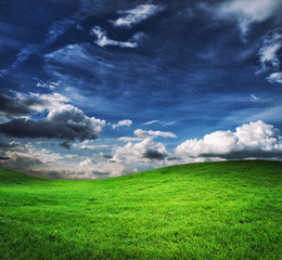 green field and blue sky