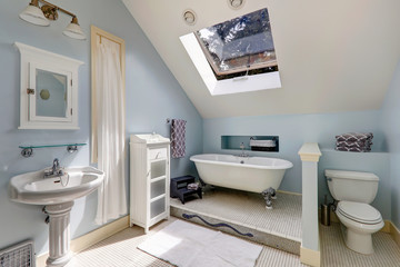 Velux bathroom with antique bath tub