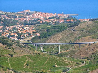 Wall Mural - Collioure, Pyrénées-Orientales