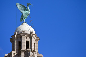 Liver Bird Perched on the Royal Liver Building