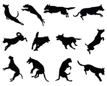 Black Silhouettes Of Jumping Dogs, Vector