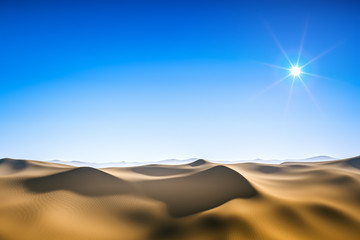 Wall Mural - desert sun