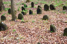 Old Abandoned Jewish Cemetery In The Forest