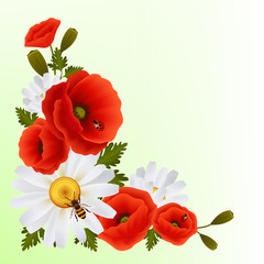 Wall Mural - Poppy daisy background