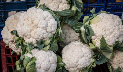 Wall Mural - cauliflower