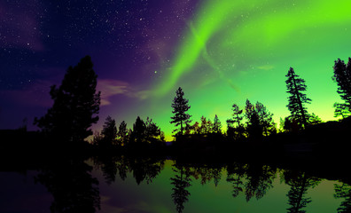 Wall Mural - Northern lights aurora borealis