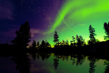 Wall Mural - Northern lights aurora borealis