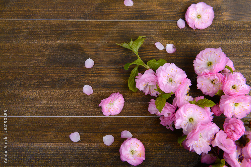 Beautiful fruit blossom on wooden background