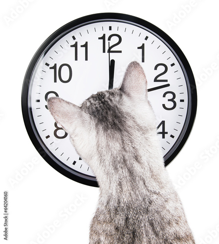 Dekoracja na wymiar  zegar-kot