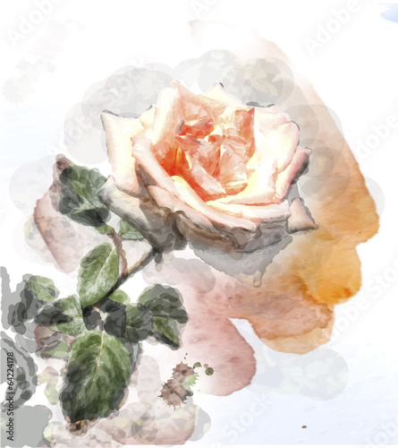 Naklejka - mata magnetyczna na lodówkę watercolor image of a rose