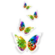 © wersk - Butterfly