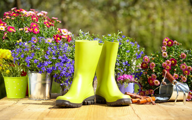 Wall Mural - Outdoor gardening tools and flowers on old wood table