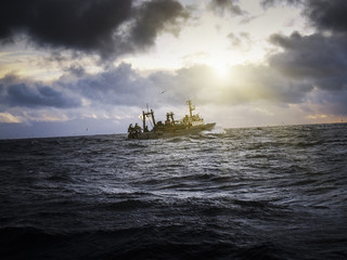 Wall Mural - Fishing ship in strong storm.