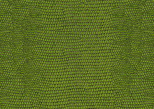 Green Snakeskin