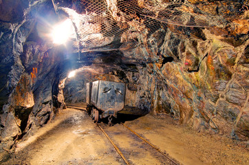 Wall Mural - Railroad mine tunnel