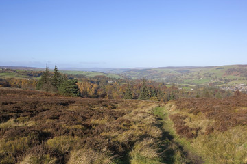 Wall Mural - moorland view