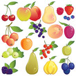 Fruit icon set. Fresh orchard and garden fruit.
