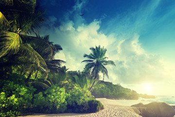 Wall Mural - sunset on seychelles beach