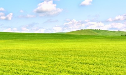  green grass field landscape under blue sky in spring