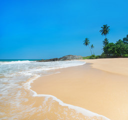 Canvas Print - Beach with waves against rock and palm trees in sunny day