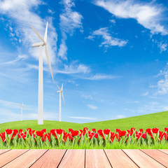 tulips with wind turbine on green grass field against blue sky b