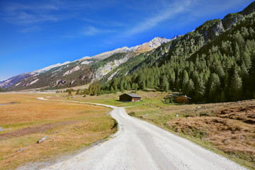 Canvas Print - Wide dirt road in an Alpine valley