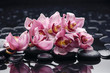 Beautiful branch pink orchid flower with back stones reflection