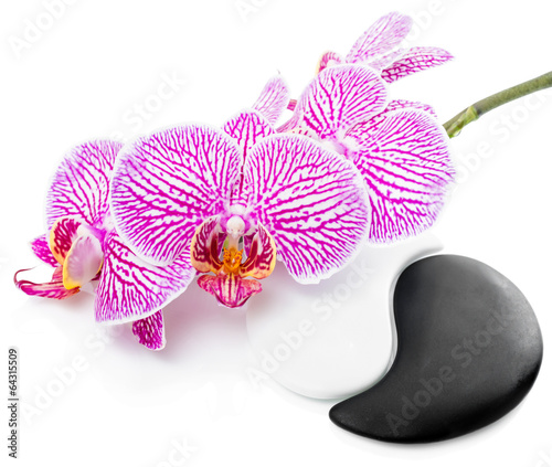 Naklejka nad blat kuchenny Spa still life of beautiful orchid flower and Yin-Yang stones is