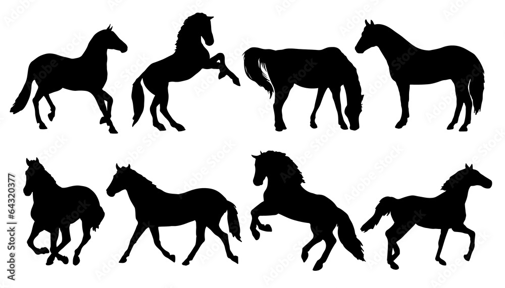 horse silhouettes Stock Vector | Adobe Stock