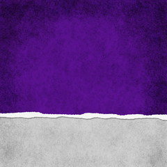 Wall Mural - Square Dark Purple Grunge Torn Textured Background