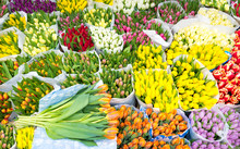 Assortment Of Bouquets Of Colorful Tulips In A Farmers Market