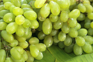  Fresh grapes on the market