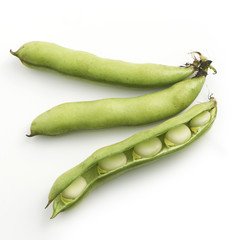 Poster - Broad beans on a white background