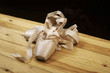 © vkara - pair of ballet shoes pointes on wooden floor