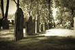 Old Cemeteries - Row of Tombstones