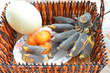 ostrich egg, banana and oranges in wooden basket