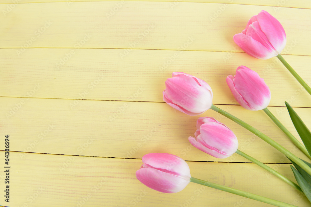 Beautiful tulips in bucket on table close-up