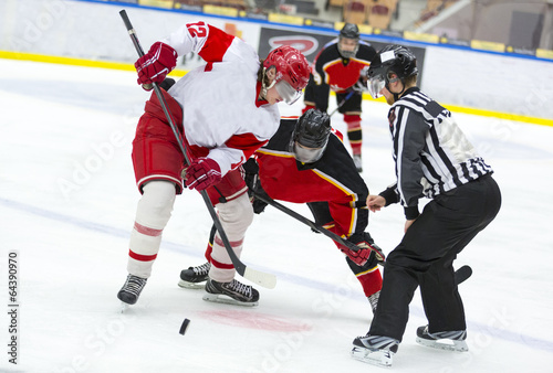 Fototapeta na szkło Hockey