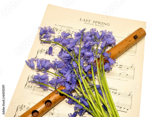 Obraz na PCV Spring Sheet Music And Bluebell Flowers