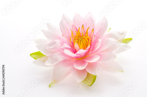 Naklejka dekoracyjna Lotus flower isolated white background